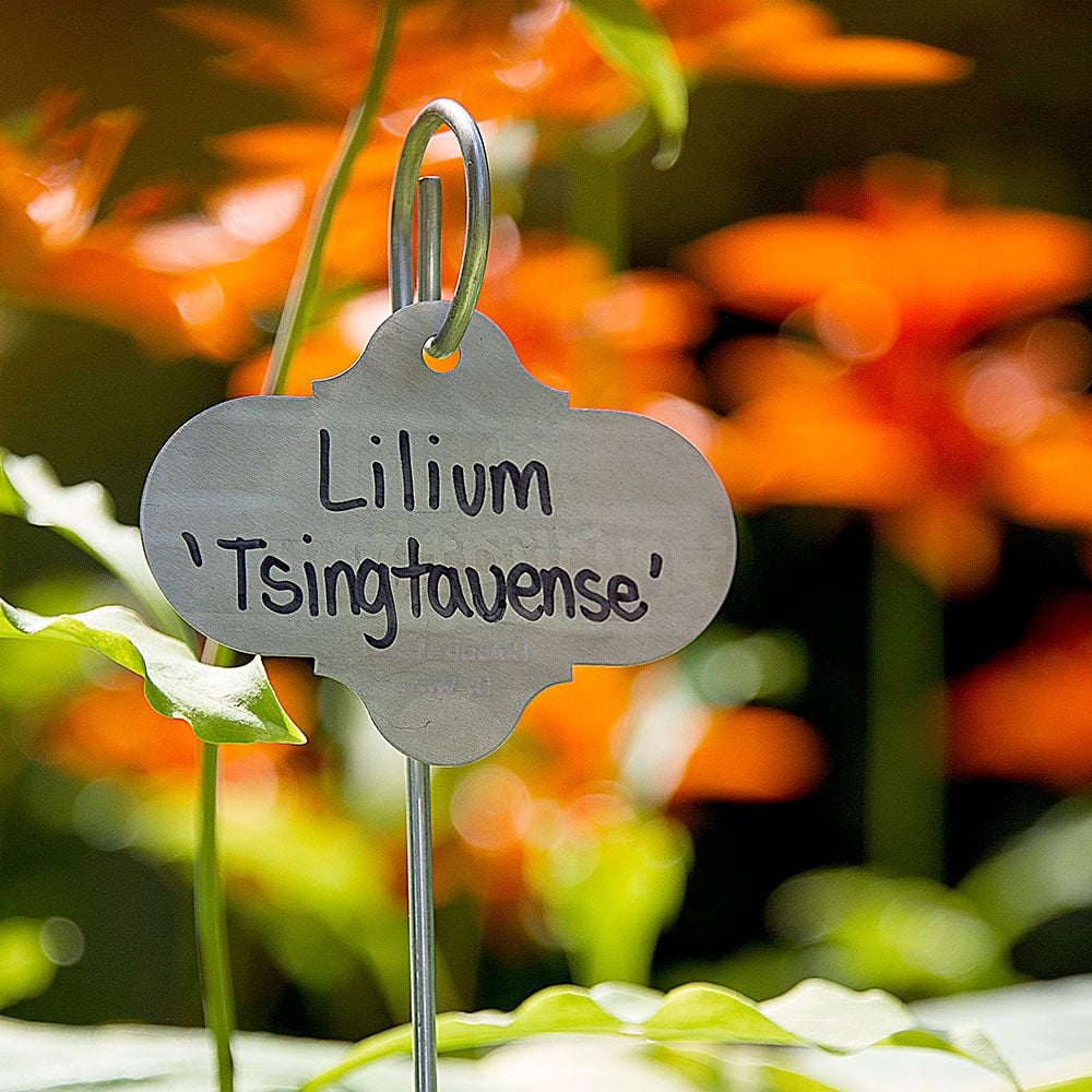 Hanging Garden Markers
