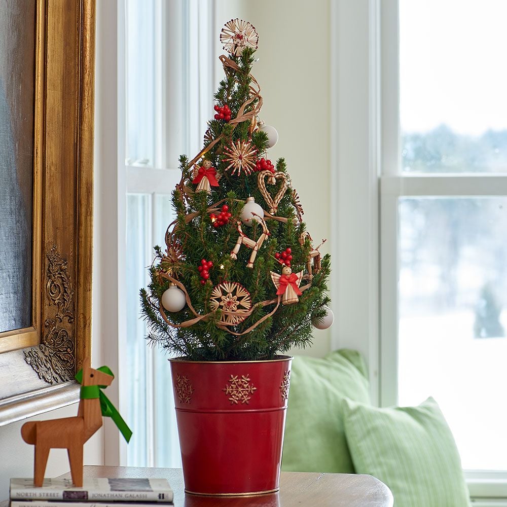 Oslo Holiday Tabletop Tree