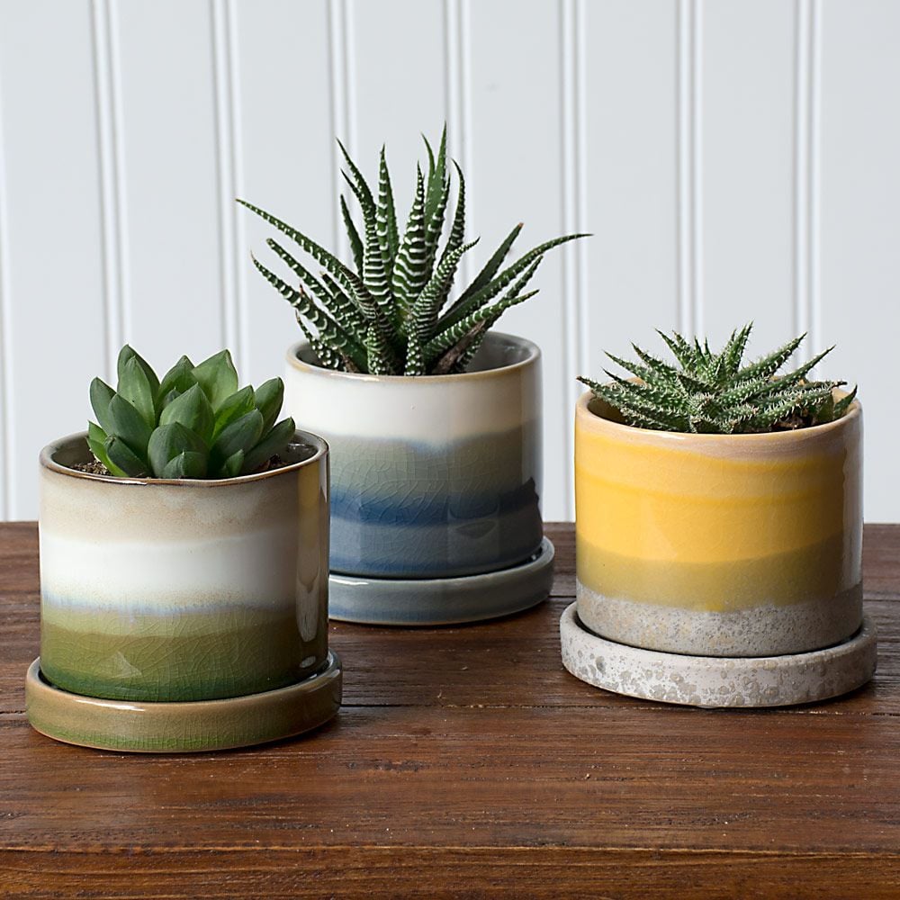 Easy-Care Succulent Trio In Mission Beach Pots