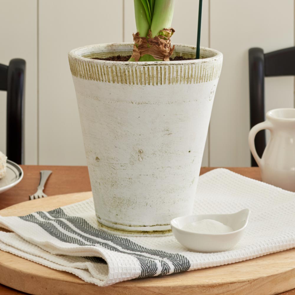 Dorset Pot And Saucer