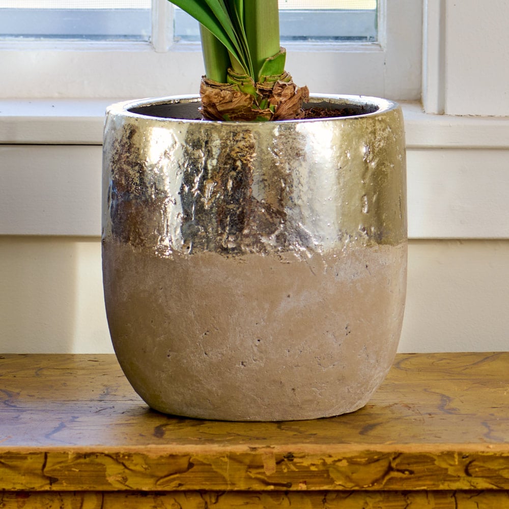 Touch Of Gold Cachepot