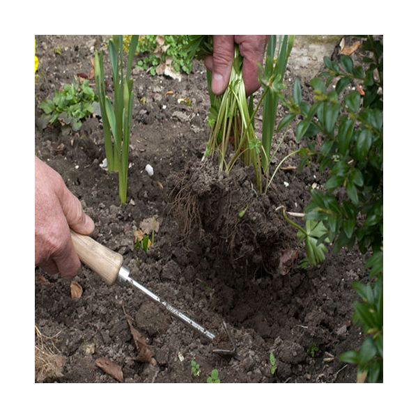 Precision Weeder