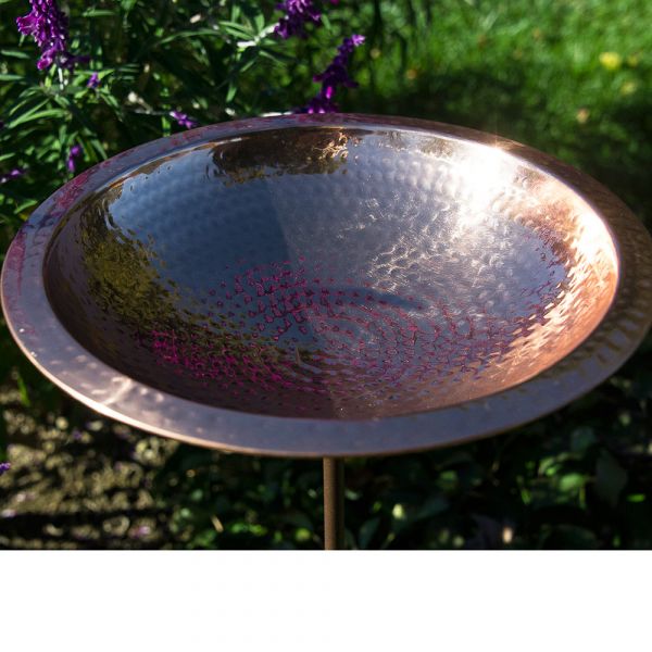 Kerala Birdbath