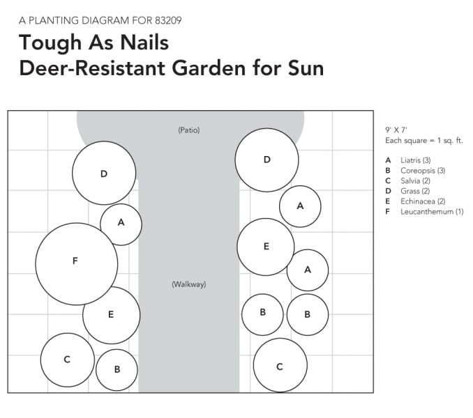 Tough As Nails Deer-Resistant Garden For Sun