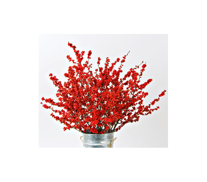 Winterberry Stems (set Of 4 Stems)
