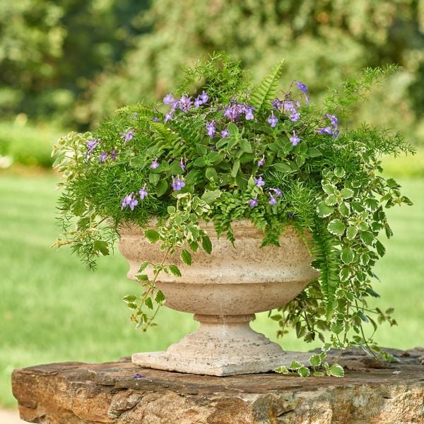 Milano Urn