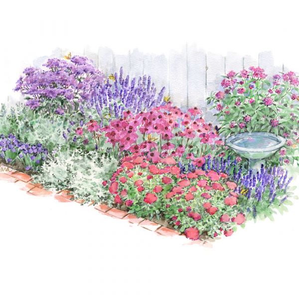 Pollinator Bulb & Perennial Garden
