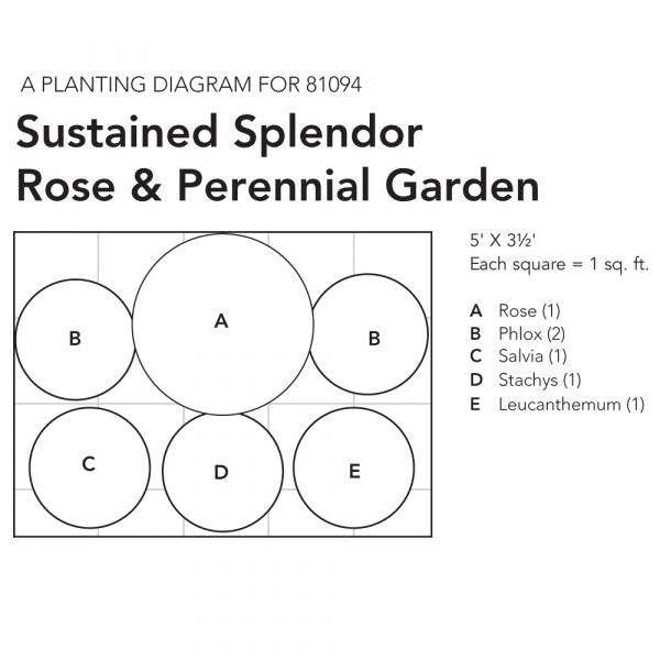 Sustained Splendor Rose & Perennial Garden