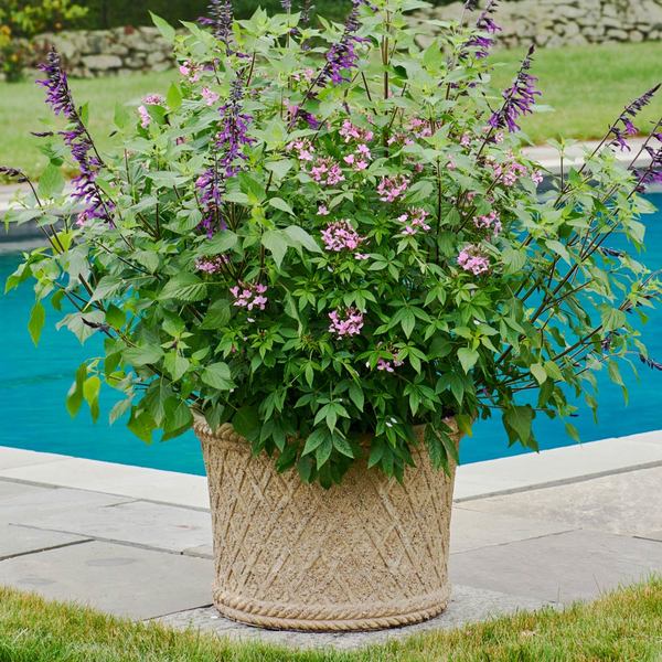 Milano Basket Weave Planter