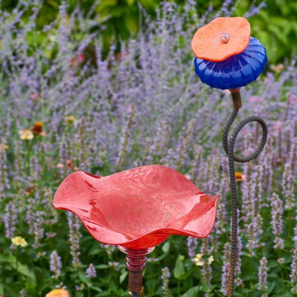 Glass Poppy Hummingbird Feeder