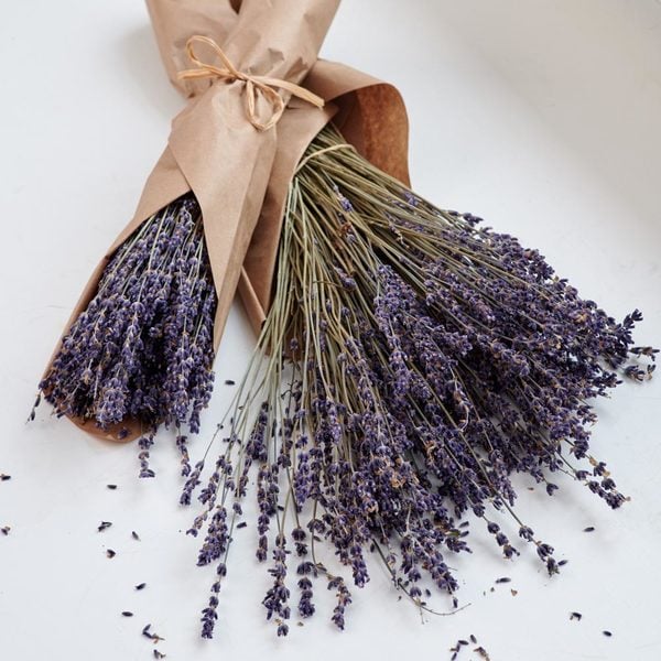 Dried Lavender Bundles, Set Of 2
