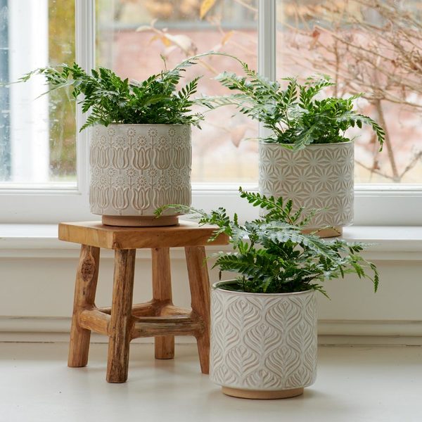 Lokka Ceramic Pots, Set Of Three