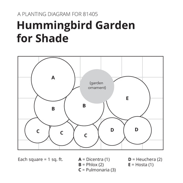 Hummingbird Garden For Shade