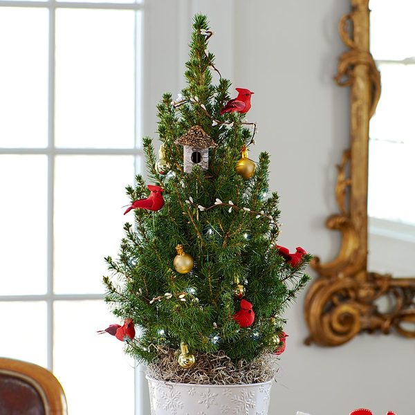 Holiday Cardinal Tabletop Tree