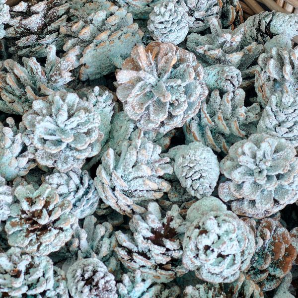 Sapphire Flame Cones, 5 Lb Bag