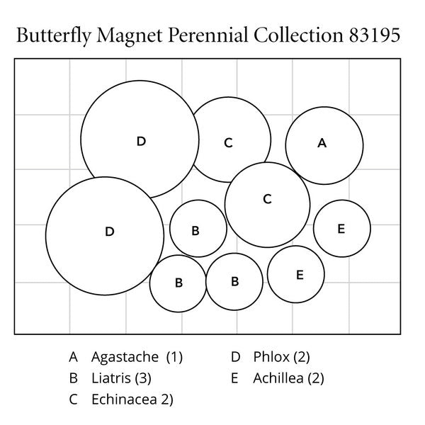 Butterfly Magnet Perennial Collection