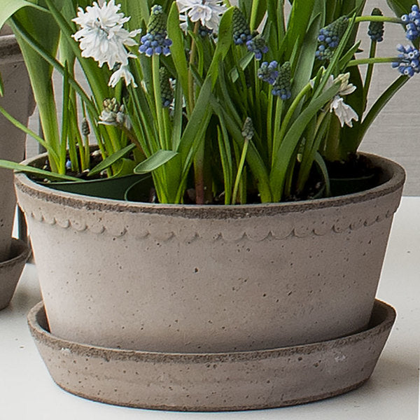 Gray Cottage Dish Planter And Saucer, 8½" Wide
