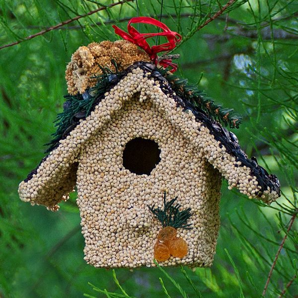 Trio Of Birdseed Cottages