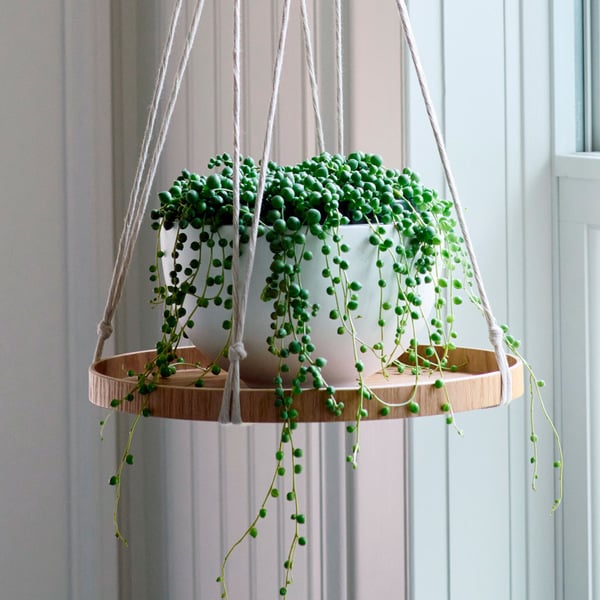 Hanging Plant Tray