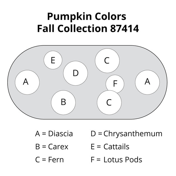 Pumpkin Colors Fall Collection