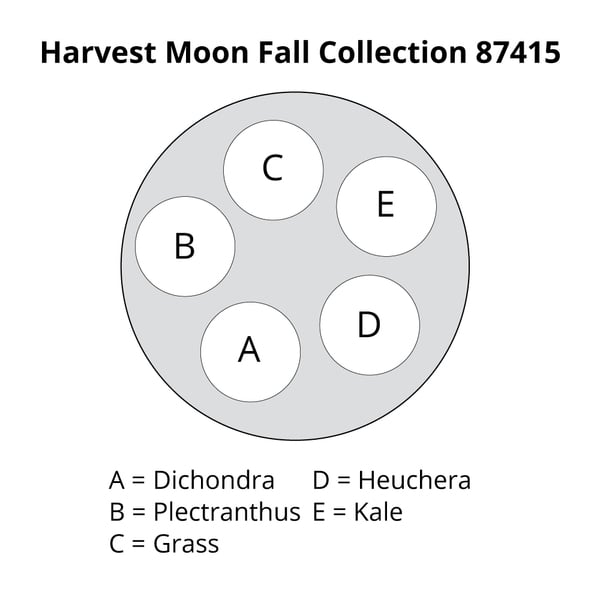 Harvest Moon Fall Collection