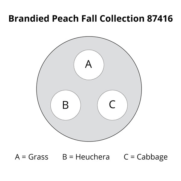 Brandied Peach Fall Collection