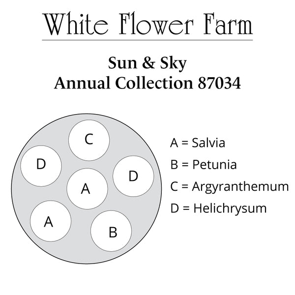 Sun & Sky Annual Collection