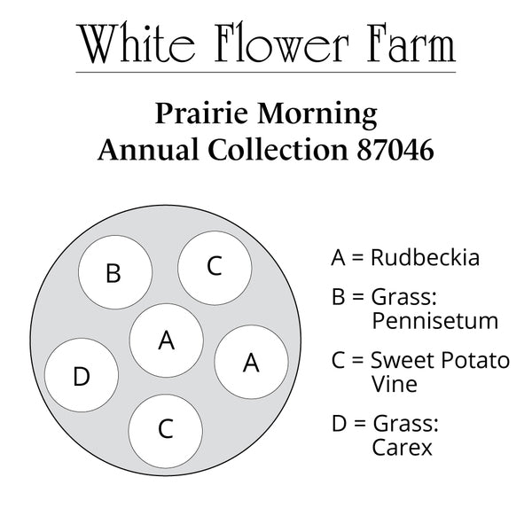 Prairie Morning Annual Collection