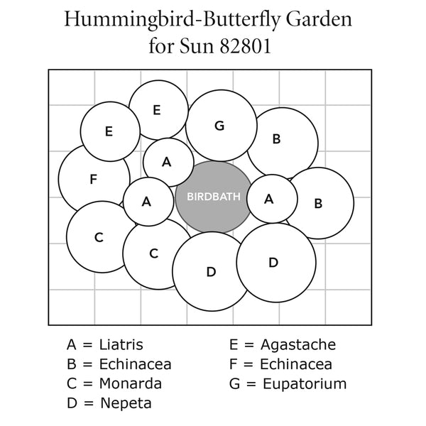 Hummingbird-Butterfly Garden For Sun