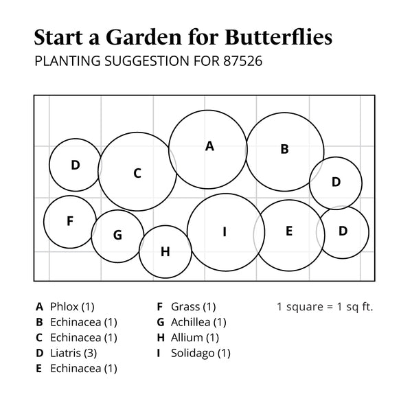 Start A Garden For Butterflies