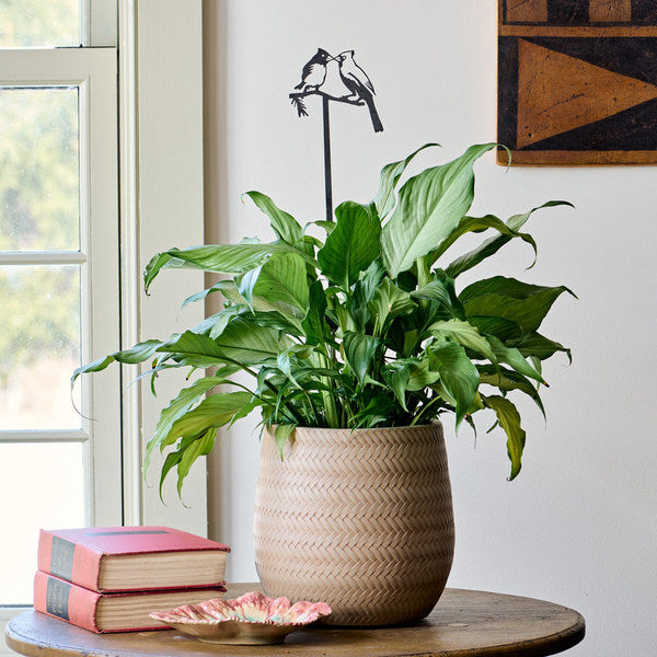 Kissing Cardinals Plant Stake