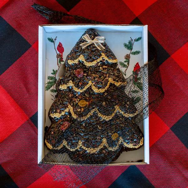 Birdseed Christmas Trees, Set Of 2
