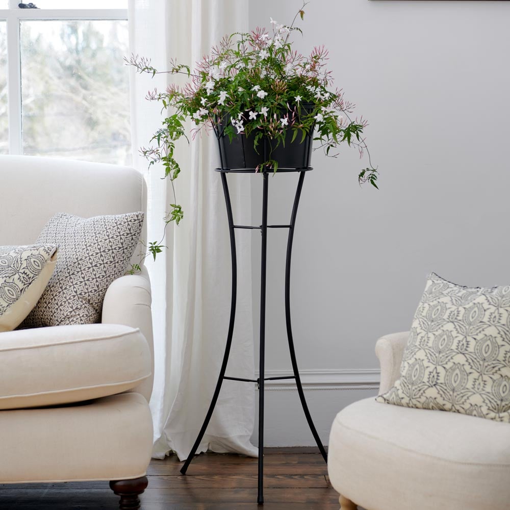  Jasmine In Silhouette Plant Stand