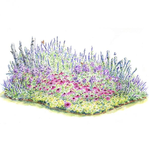 Pollinator Garden For Sun