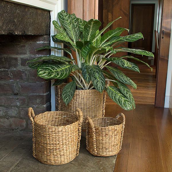  Water Hyacinth Basket, Large
