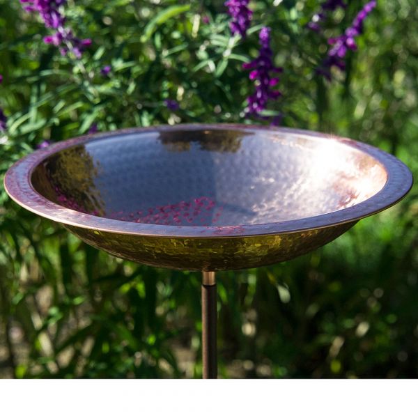  Kerala Birdbath
