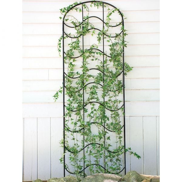  Waves Of Bloom Trellis