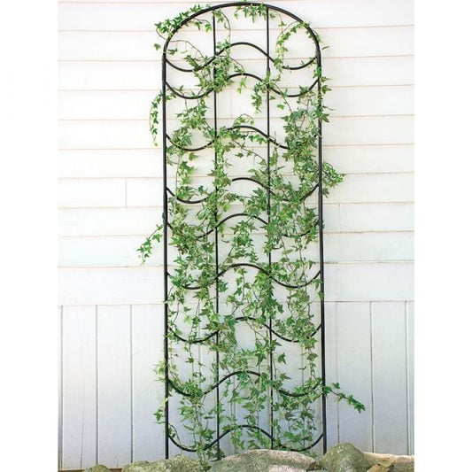  Waves Of Bloom Trellis