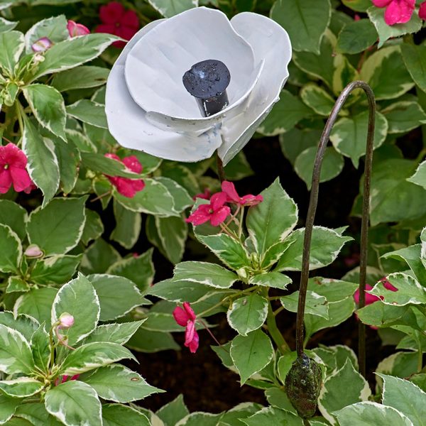  White Poppy Garden Stake