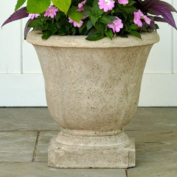  Albani Urn, Natural