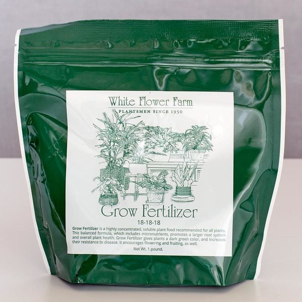  Foliage Plant Success Kit