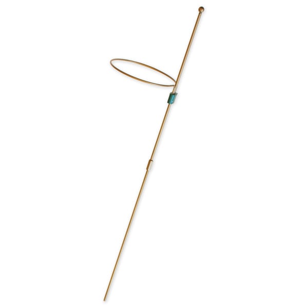  Antique Gold Amaryllis Stake