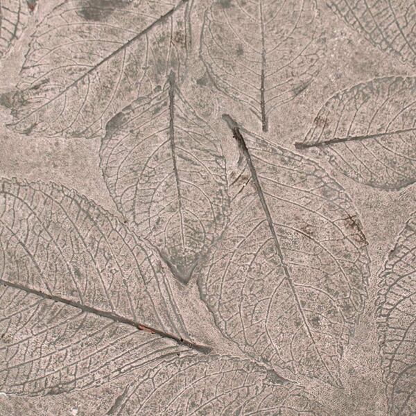  Hydrangea Leaf Stepping Stone